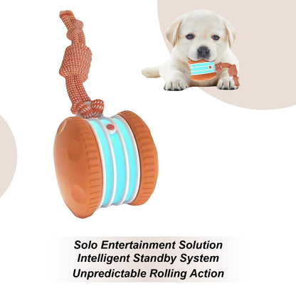 Smart Interactive Cat Ball - Auto Rolling Game for Endless Fun and Boredom Relief